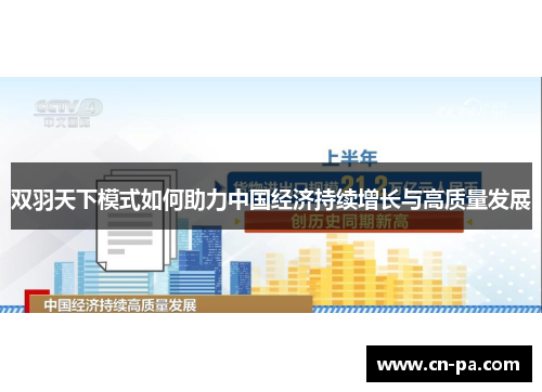 双羽天下模式如何助力中国经济持续增长与高质量发展