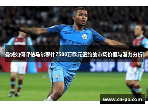 曼城如何评估马尔穆什7500万欧元签约的市场价值与潜力分析