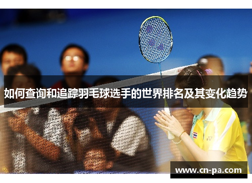 如何查询和追踪羽毛球选手的世界排名及其变化趋势