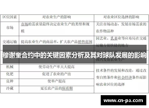 穆谢奎合约中的关键因素分析及其对球队发展的影响
