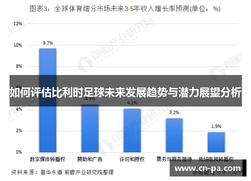 如何评估比利时足球未来发展趋势与潜力展望分析