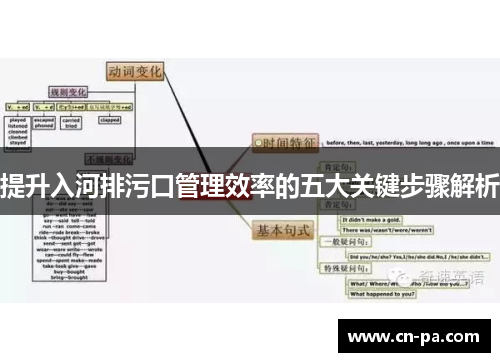 提升入河排污口管理效率的五大关键步骤解析