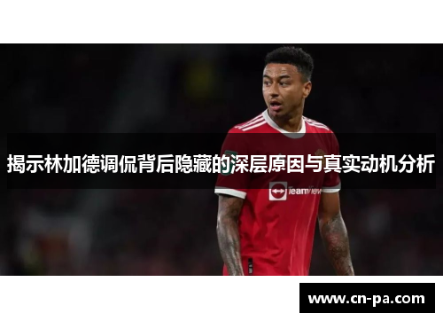 揭示林加德调侃背后隐藏的深层原因与真实动机分析 揭示林加德调侃背后隐藏的深层原因与真实动机分析