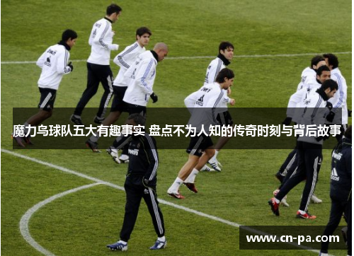 魔力鸟球队五大有趣事实 盘点不为人知的传奇时刻与背后故事