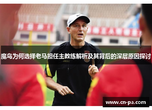 魔鸟为何选择老马担任主教练解析及其背后的深层原因探讨